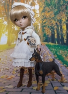 1/6ドーベル