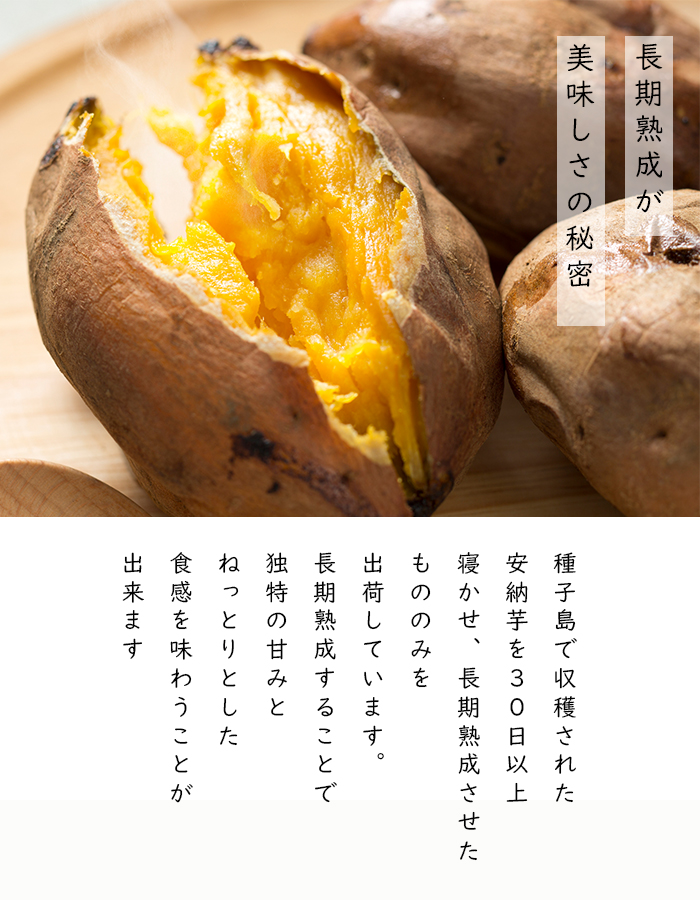 鹿児島県種子島産の安納芋の訳あり品の通販。送料無料で全国へお届け。