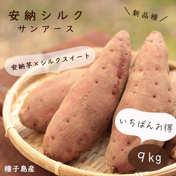 さつまいも 甘熟蜜いも シルクスイート 紅はるか等 10kg サイズ