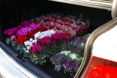 トランクの花