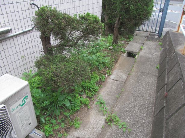 アパート草取り