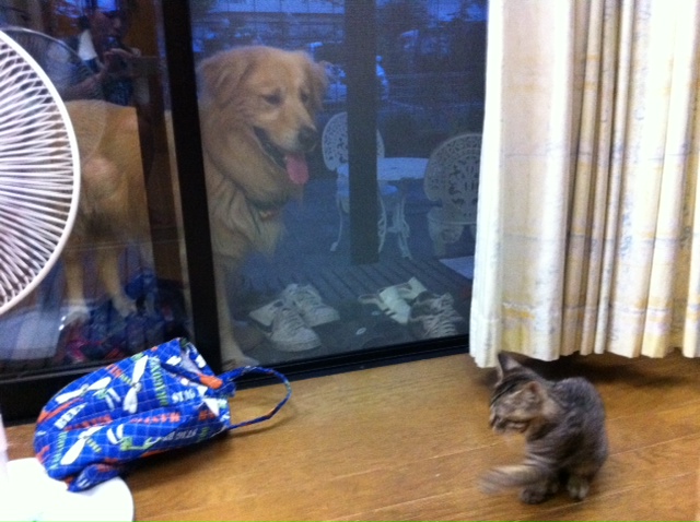 写真 1.JPG