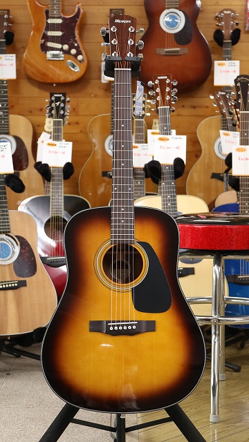 morris アウトレット M-251 Morris M-251 NAT アコースティックギター