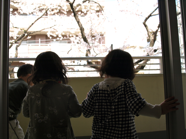 P4060224.jpg