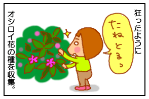 種1
