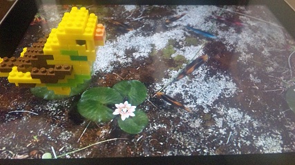 iPad3D