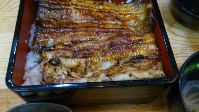 うなぎよねやま