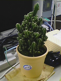 20070108_294934.jpg