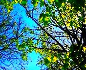130420_150651_ed.jpg