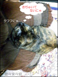 にゃんぽぅ
