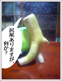 大根1