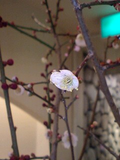 20070210_175021.jpg