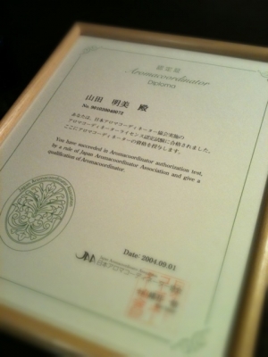 jaa_diploma