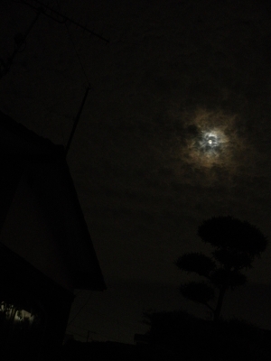 P9274730.JPG