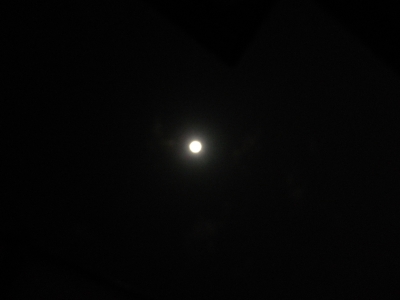 P9274727.JPG