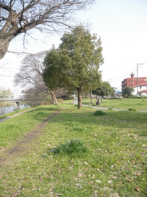P3195451.JPG
