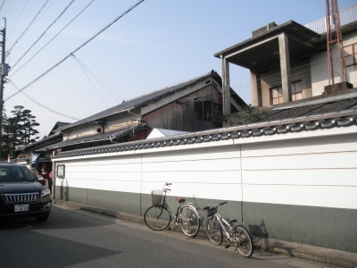P3195452.JPG