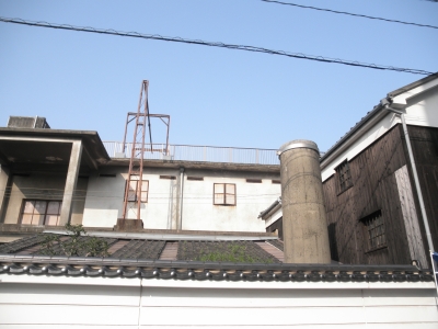 P3195453.JPG
