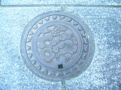 P1250353.JPG