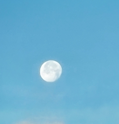 the morning moon in New years day 2021