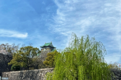 大阪城公園＿柳と空