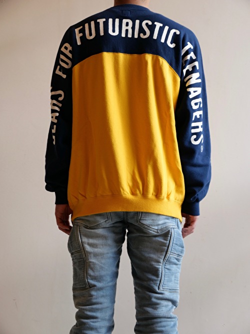 RAGLAN SWEATSHIRT / HUMAN MADE® | SQUARE ONE 