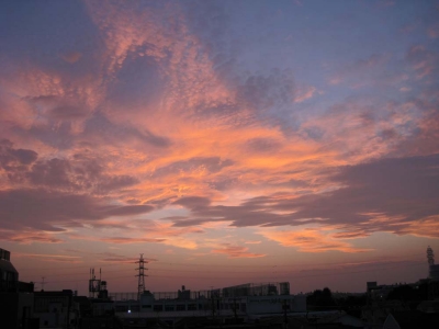 秋の夕日