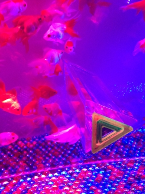 金魚万華鏡