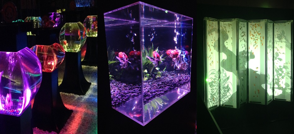 金魚