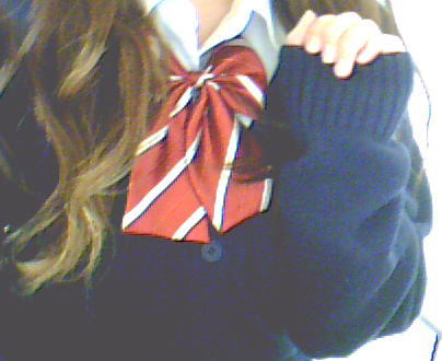 10年12月の記事 しばたのがんばるんだ っ