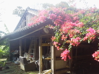 12-11-24_005.jpg