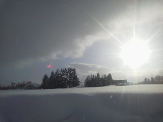 13-01-20_002.jpg