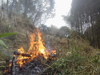 13-02-17_005.jpg