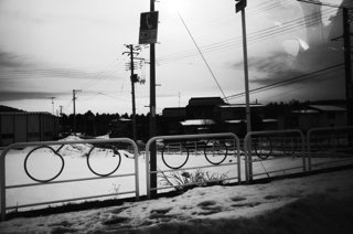 02C416A5-99BE-4A15-856B-142EE900446C.jpeg