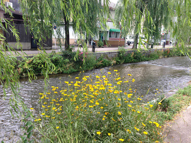 白川