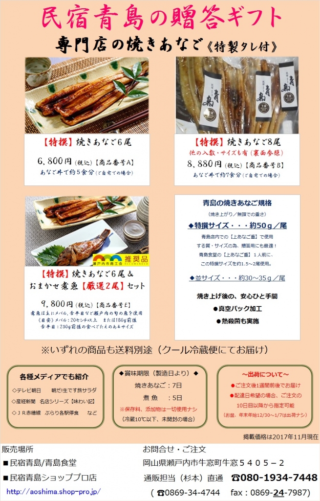 2017年版チラシ
