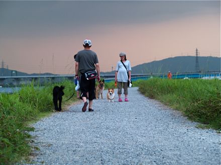 夕暮れのお散歩コース