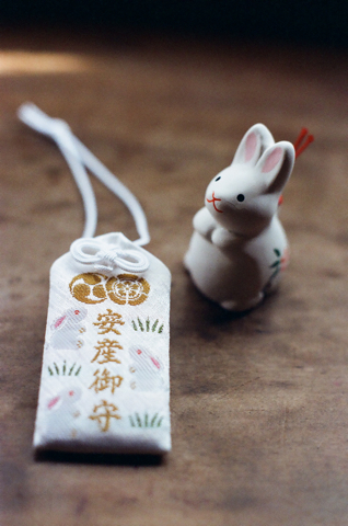 2011_7.jpg