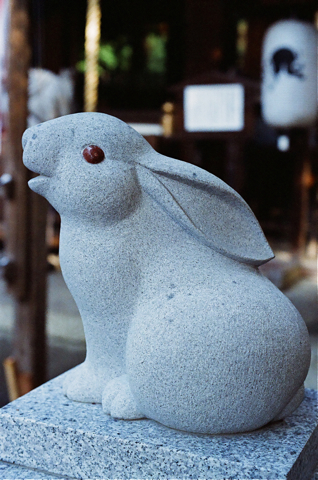2011_3.jpg