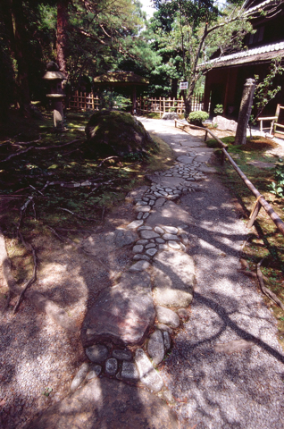 hakusa-4.jpg