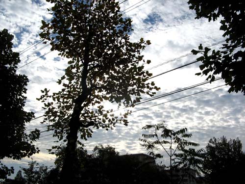 sky