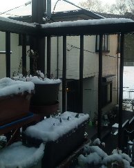 20100202雪03