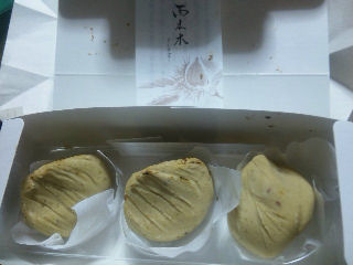 20101020西木木