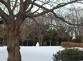 IMG_20140209_152223_2.jpg