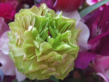 DSCF4367_グリーン_2.jpg