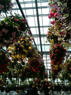 20070328_226560.JPG