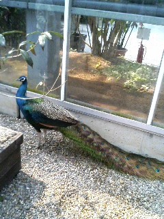 20070328_226561.JPG