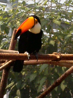 20070328_226585.JPG