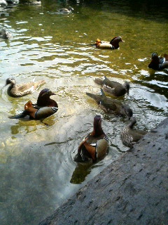 20070328_226586.JPG