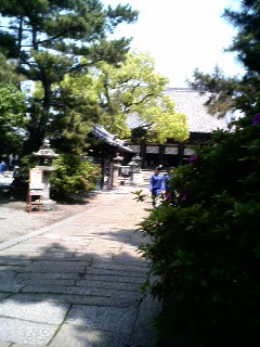 20070508_253892.JPG